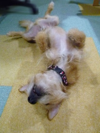 ZZZZZZ ZZZZZZ