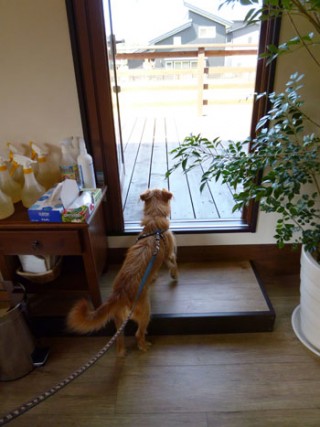 おー! おー!