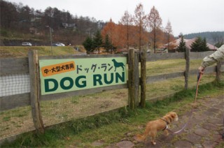 いくだ、いくだ。 いくだ、いくだ。