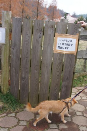 えーーー。 えーーー。