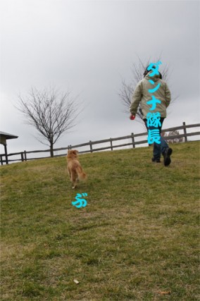 ♪♪♪♪♪ ♪♪♪♪♪