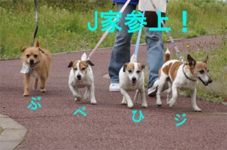 おらも走るだ!