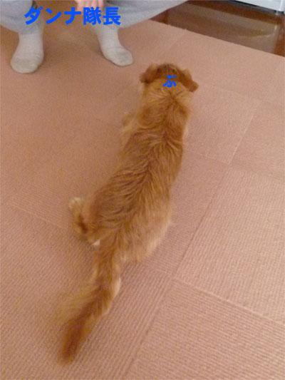 りんご、らぶ♪