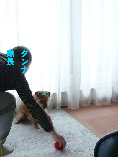 「ぶうた、ほらボール、ぽ~んするよ。」 「ぶうた、ほらボール、ぽ~んするよ。」