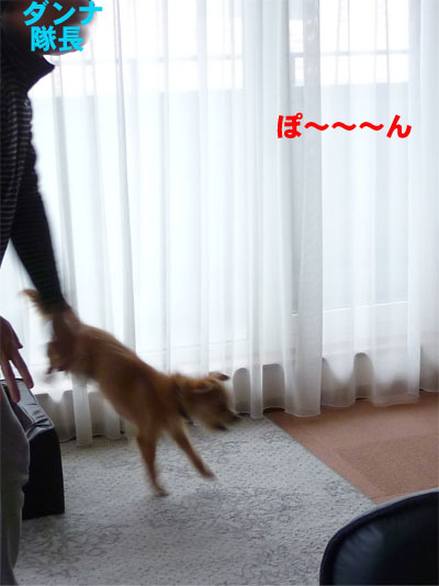 それーーーーっ! それーーーーっ!