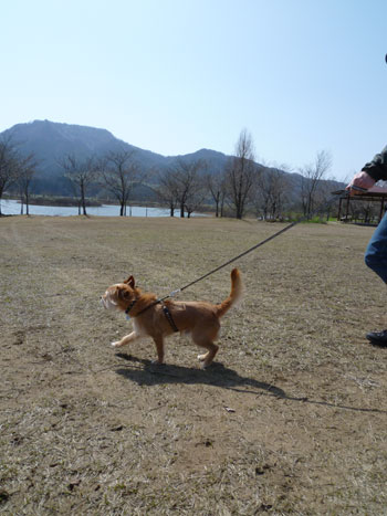 うほほ~い♪ うほほ~い♪