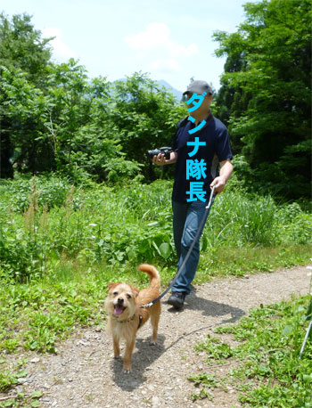 どこまで歩くだ? どこまで歩くだ?