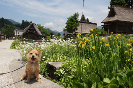 世界遺産だ。 世界遺産だ。