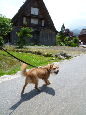 ここも世界遺産だ。 ここも世界遺産だ。