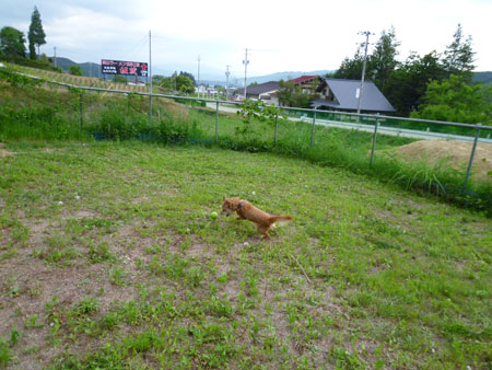 おらの貸し切りだ。 おらの貸し切りだ。