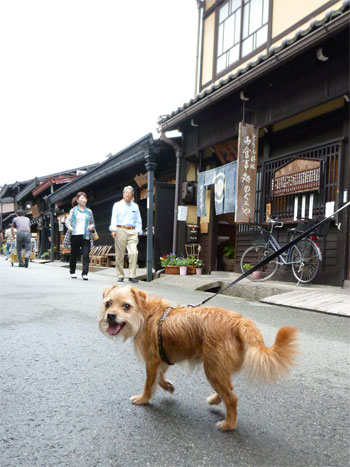 古い街並み歩くだ。 古い街並み歩くだ。