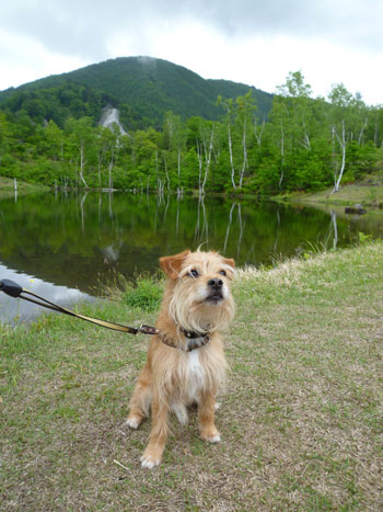 まいめの池だ。 まいめの池だ。
