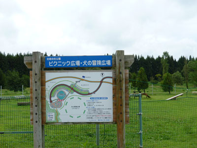 犬の冒険広場は広い! 犬の冒険広場は広い!
