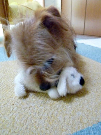 どうだ! どうだ!