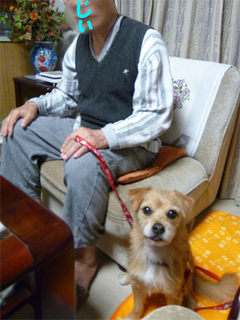 西郷さん? 西郷さん?