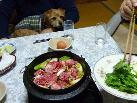 肉だ。 肉だ。