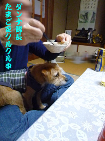 上でクルクルしてるだ。 上でクルクルしてるだ。