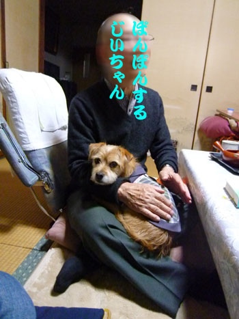 乗ってみただ。 乗ってみただ。