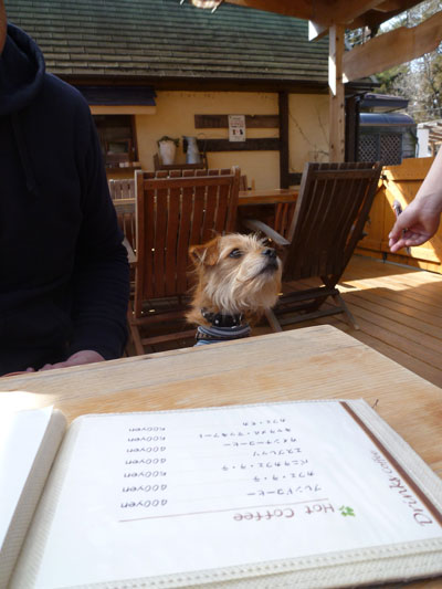 何にするだ? 何にするだ?