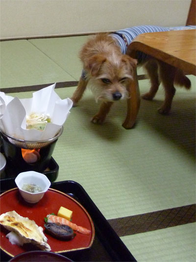 どら、どら。 どら、どら。