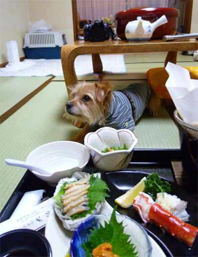 おらも、いるだ。 おらも、いるだ。