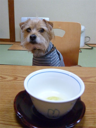 到着だ。 到着だ。