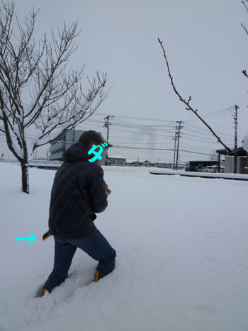 なにするだー。 なにするだー。
