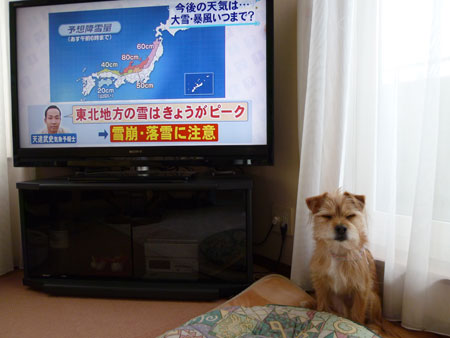 天気予報きらいだ。 天気予報きらいだ。