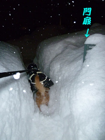 行ってくるだ。