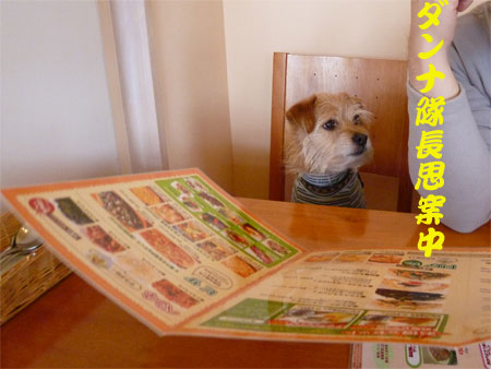 (なににするだ?) (なににするだ?)
