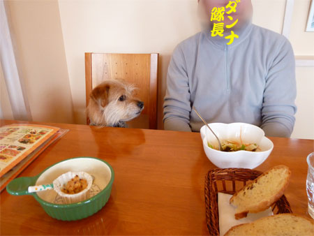 (早く食べるだ。) (早く食べるだ。)