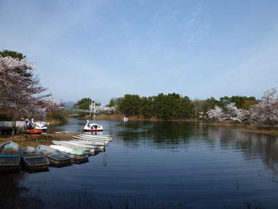 (湖の向こうにも桜) (湖の向こうにも桜)