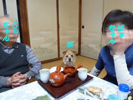 (休日の定番スポットだ) (休日の定番スポットだ)