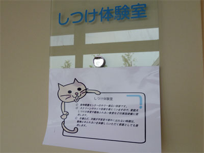 (屋内でワンコのしつけ教室も) (屋内でワンコのしつけ教室も)