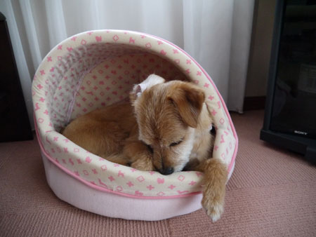 ( ふっ ) ( ふっ )