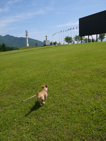 ( ひゃっほ~♪ ) ( ひゃっほ~♪ )