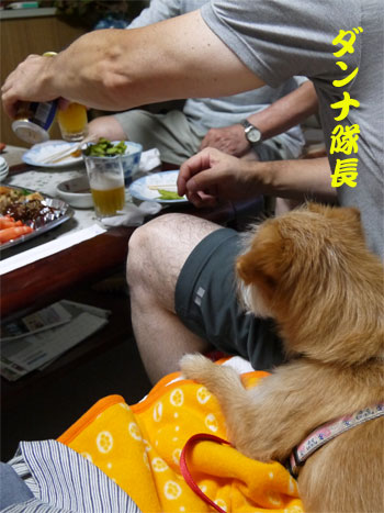 ( 乾杯してるだ ) ( 乾杯してるだ )