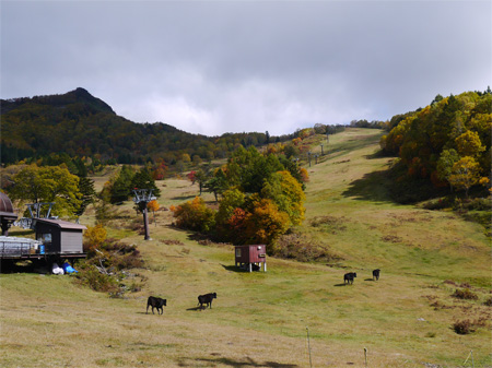 ( 北欧みたいな山田牧場 ) ( 北欧みたいな山田牧場 )