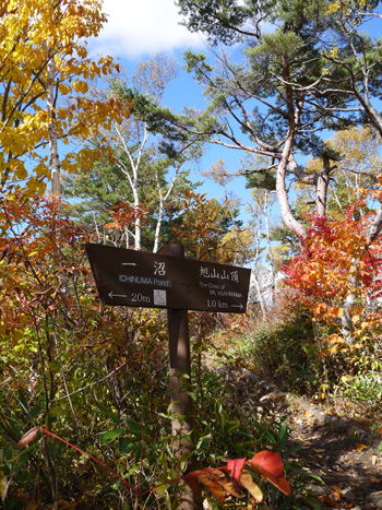 ( なつかしい看板 ) ( なつかしい看板 )