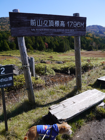( 前山山頂に到着 ) ( 前山山頂に到着 )