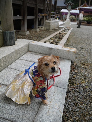 ( うらぐち?) ( うらぐち?)