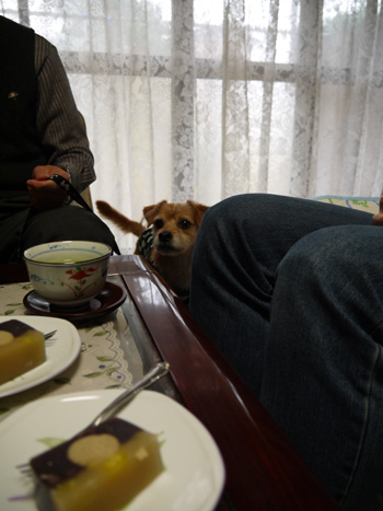 ( おらもいるだ。) ( おらもいるだ。)