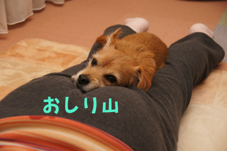 ( むほっ。)