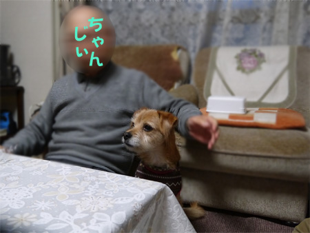 ( ごちそう遅いだ )