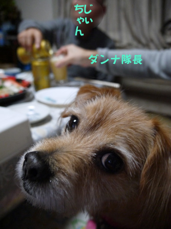 ( なんで、おらだけ・・・ )
