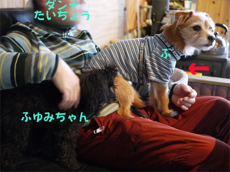 ( な、なんなんだ。 )
