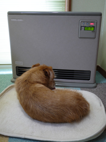 ( ふぅ。 )