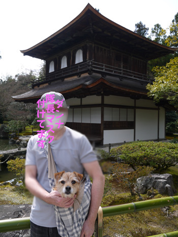 ( 記念写真だ )