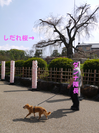 ( 準備中だ )