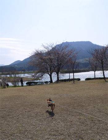 ( それー )